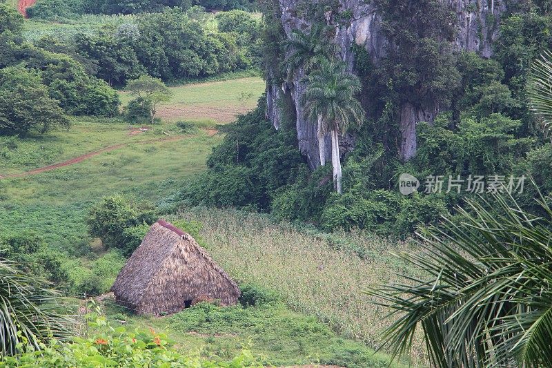 Cuba - Viñales Valley - landscape